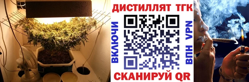 где купить   Аркадак  Дистиллят ТГК вейп с тгк 